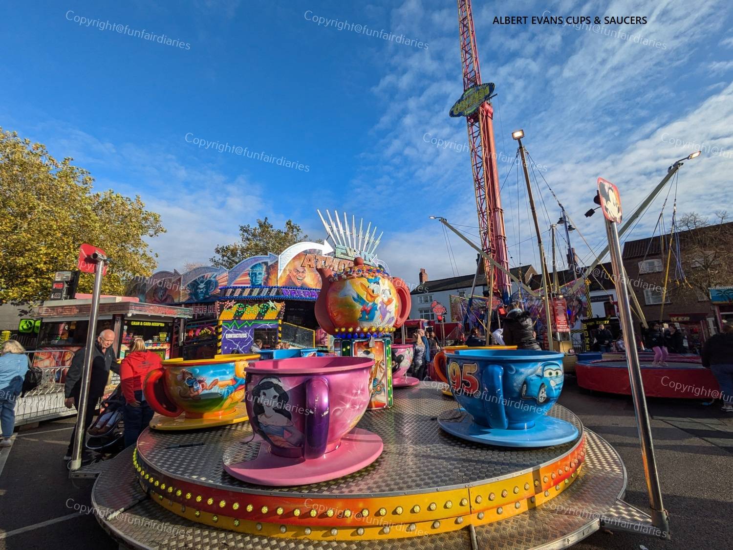Albert Evans Cups & Saucers